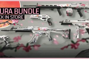 Wakira Bundle